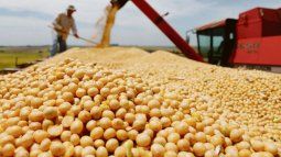 Soybeans revived in Chicago after suffering five consecutive declines Soybeans revived in Chicago after suffering five consecutive declines