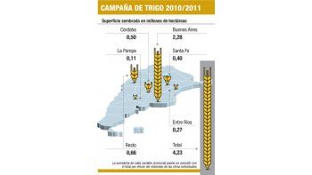 Prevén que cosecha de maíz será de 26 M de toneladas