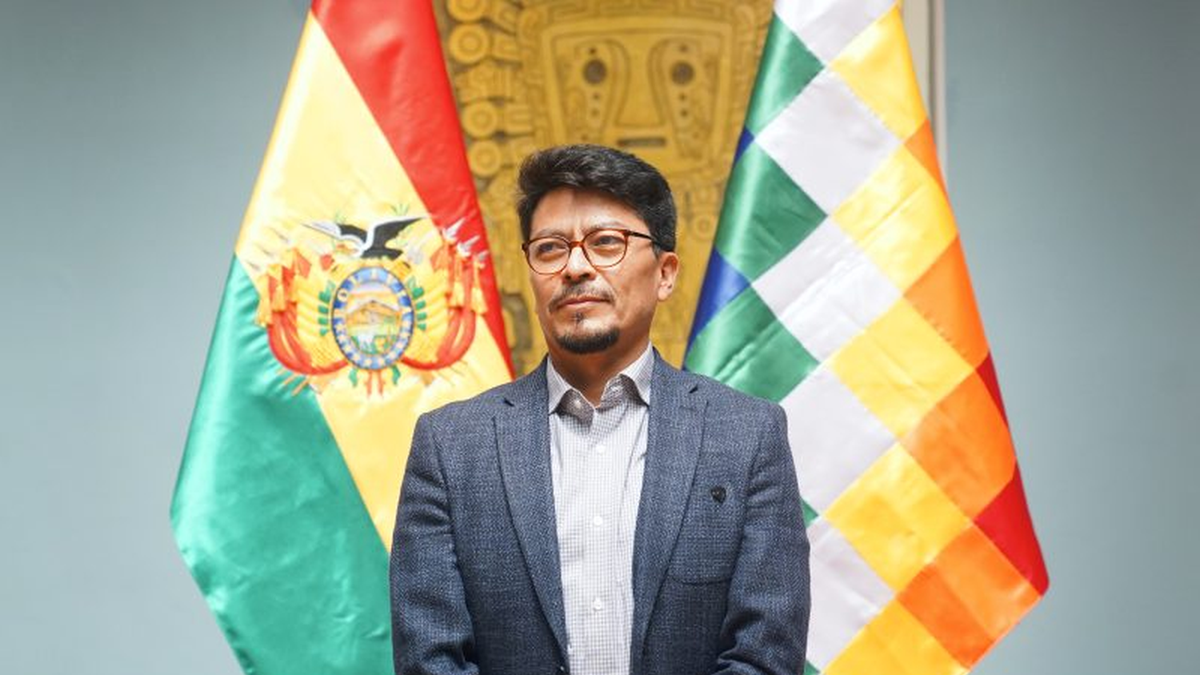Crisis en Bolivia: el gobierno presentará una denuncia en la OEA tras las manifestaciones y disturbios