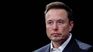 Según la predicción de Elon Musk, la IA sería capaz de administrar servicios, generar contenidos y anticiparse a las necesidades del usuario.&nbsp;