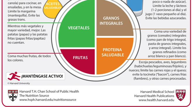 Expertos De Harvard Descubren El Alimento Que No Puede Faltar En La ...