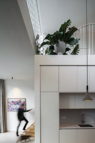 El diseño vertical no parece amplio a simple vista, pero una vez en el interior se puede apreciar el espacio al ser varios niveles. El diseño vertical no parece amplio a simple vista, pero una vez en el interior se puede apreciar el espacio al ser varios niveles.