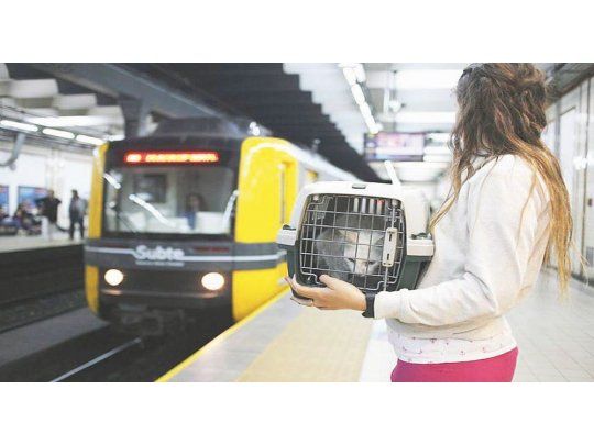 tRASLADO. El andén estará delimitado para que los pasajeros que trasladen a sus mascotas lo hagan en el último vagón. Además, habrá que llevar la constancia de vacuna antirrábica.