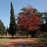 Sobre la Ruta 3, Las Flores se destaca por sus paisajes y lagunas con carpinchos. Sobre la Ruta 3, Las Flores se destaca por sus paisajes y lagunas con carpinchos.