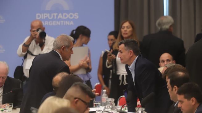 El sindicalista y diputado Sergio Palazzo frente al titular del bloque libertario Gabriel Bornoroni.