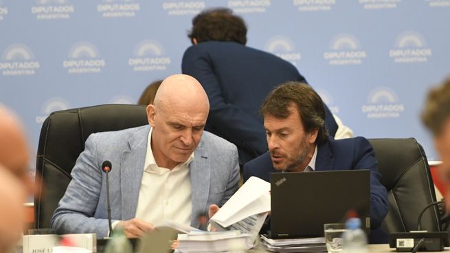 José Luis Espert (Avanza Libertad) y Lisandro Nieri (UCR) durante el plenario de comisiones del martes.