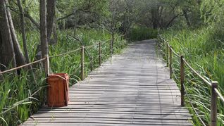 A pocos minutos de la ciudad, se oculta un predio con flora y fauna para disfrutar y pasear.
