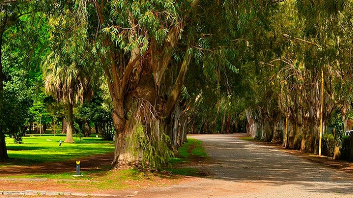 Buenos Aires: must-see places to visit for less than 00
