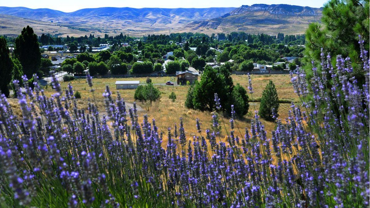 Holy Week in Junín de los Andes: offers a wide agenda for religious tourism Holy Week in Junín de los Andes: offers a wide agenda for religious tourism