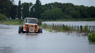 Los campos del norte bonaerense muestran signos de agotamiento tras meses sin lluvias. Los campos del norte bonaerense muestran signos de agotamiento tras meses sin lluvias.