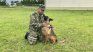 Wilson, the canine hero of Colombia.