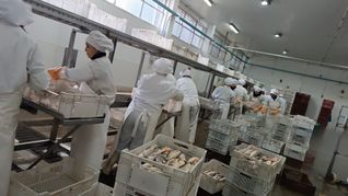 La pesca protagonizó la primera exportación sin aranceles por el acuerdo Mercosur-UE. La pesca protagonizó la primera exportación sin aranceles por el acuerdo Mercosur-UE.