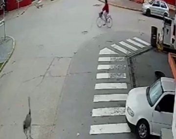 Insólito: un ñandú chocó a una ciclista en la provincia de Buenos Aires.