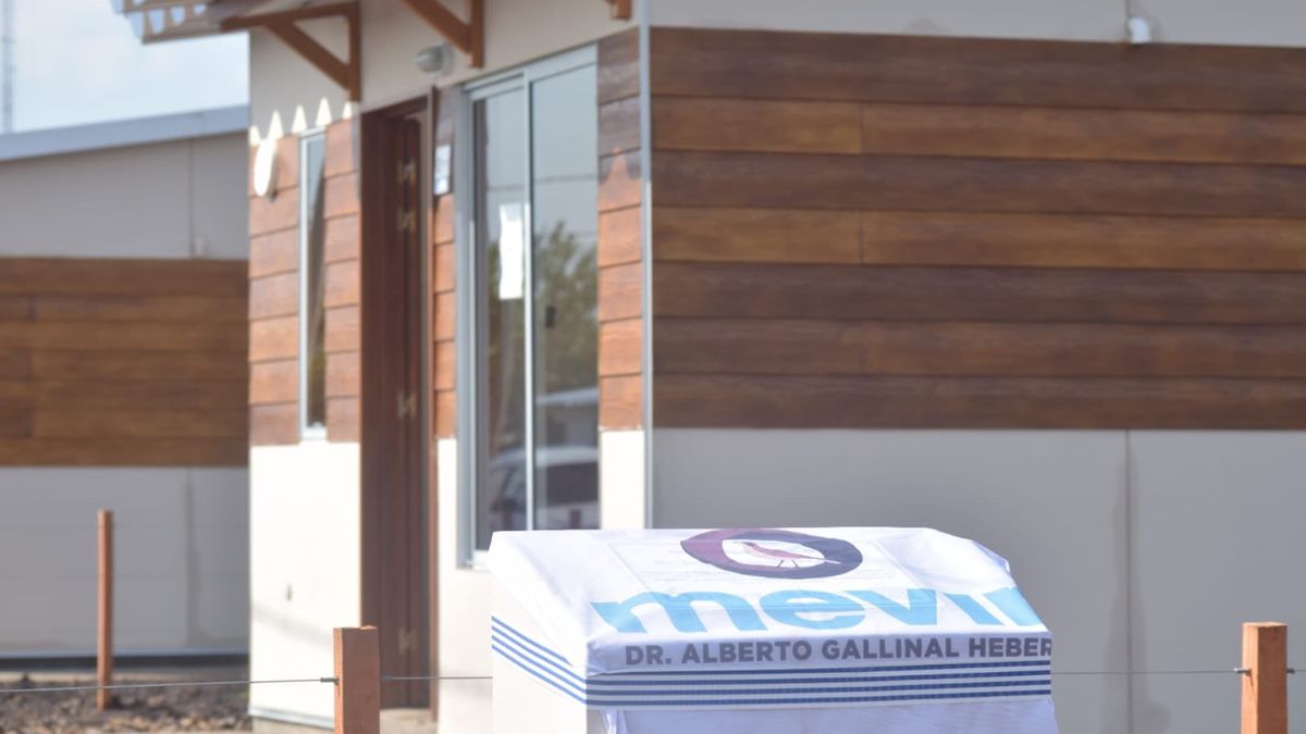 Housing will grant 0 million to Mevir to build wooden houses