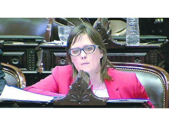 Ajuste. La diputada nacional Brenda Austin (UCR-Córdoba) señaló que es necesario contemplar “el bien jurídico que está en juego”.