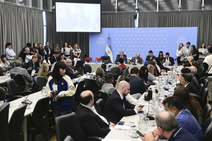 El Gobierno consiguió mayoría en Diputados para dictaminar su proyecto de ley Hojarasca. El Gobierno consiguió mayoría en Diputados para dictaminar su proyecto de ley Hojarasca.