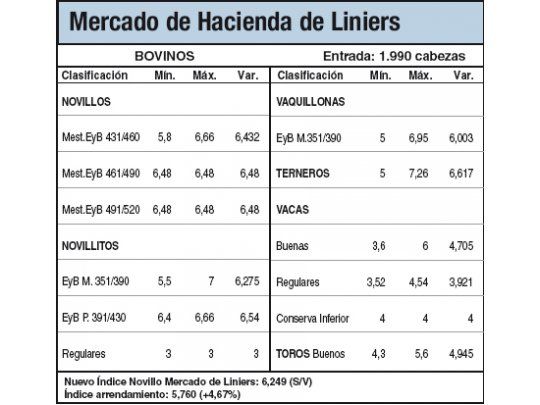 Escaso ingreso a Liniers por retención de vacunos