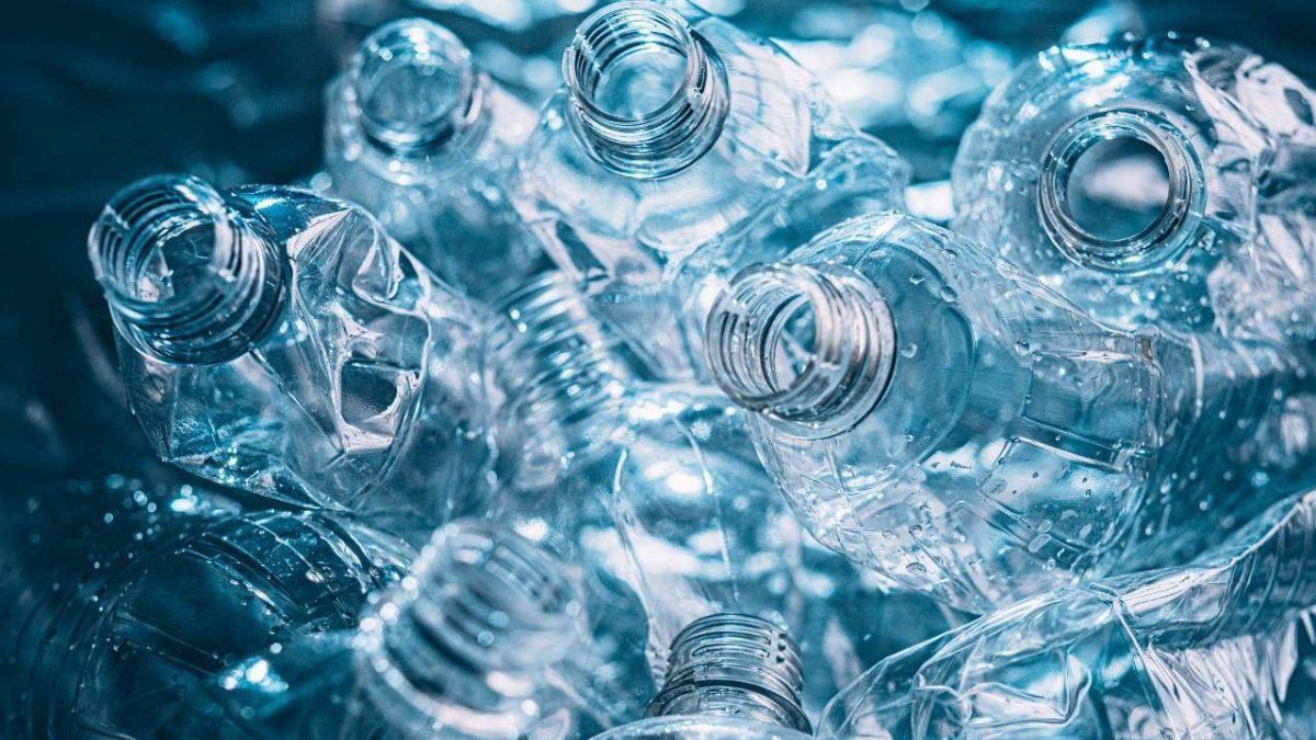 Do not throw the plastic bottles! They can be your best allies in gardening