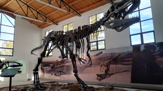 La Ruta de los dinosaurios asoma como uno de los principales atractivos turísticos de Neuquén.