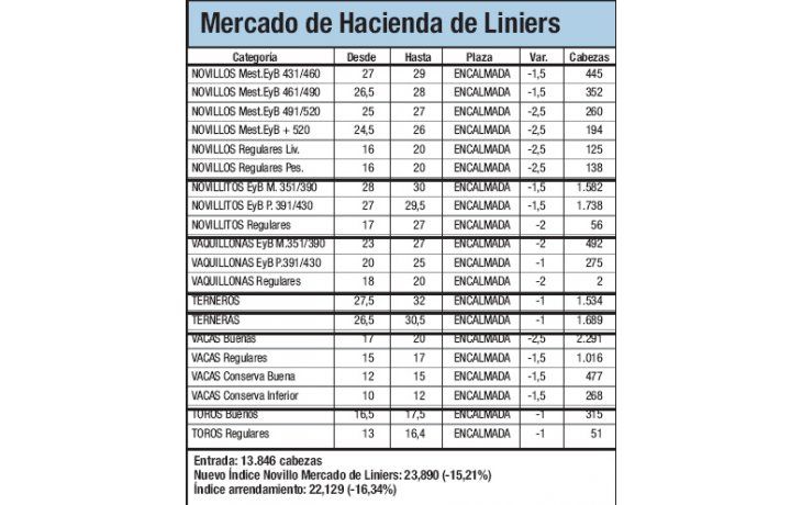 Índice Novillo bajó 15,2% en Liniers