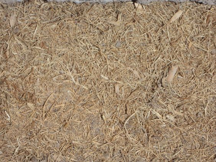 Es común que el pasto sea vea afectado por las altas temperaturas del verano. Es común que el pasto sea vea afectado por las altas temperaturas del verano.