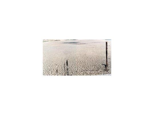 Los productores cordobeses perjudicados por la falta de lluvias recibirán $ 130 por hectárea, hasta un tope de 150 hectáreas cultivadas con trigo.