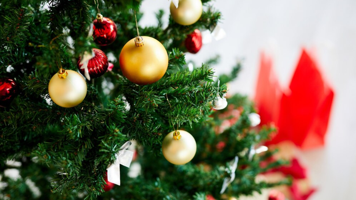 El Feng Shui revela los días exactos para el árbol de Navidad si quieres  prosperidad en