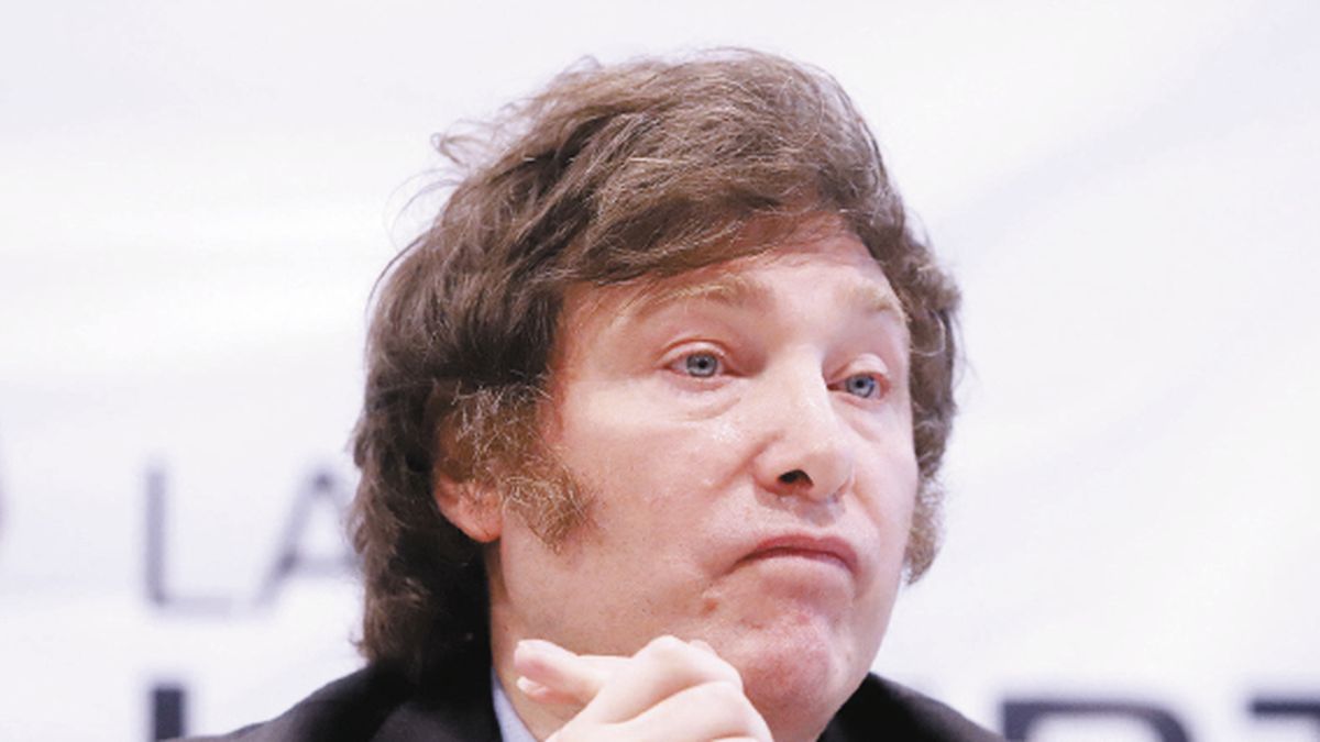 The necessary megadecree of President Javier Milei