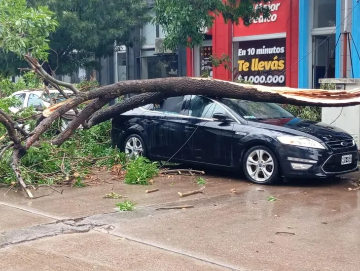 Various damage was reported following posts and trees falls. Various damage was reported following posts and trees falls.