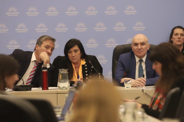 Soria, Rodríguez Machado y Espert, autoridades en el plenario de comisiones. Soria, Rodríguez Machado y Espert, autoridades en el plenario de comisiones.