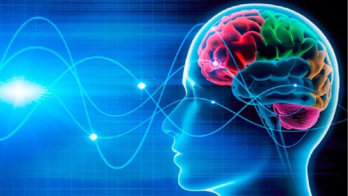 Cerebro: 3 ejercicios para hacer en casa y mejorar la memoria
