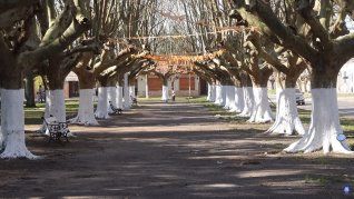 Sus plazas son ideales para recorrer caminando o en bicileta. Sus plazas son ideales para recorrer caminando o en bicileta.
