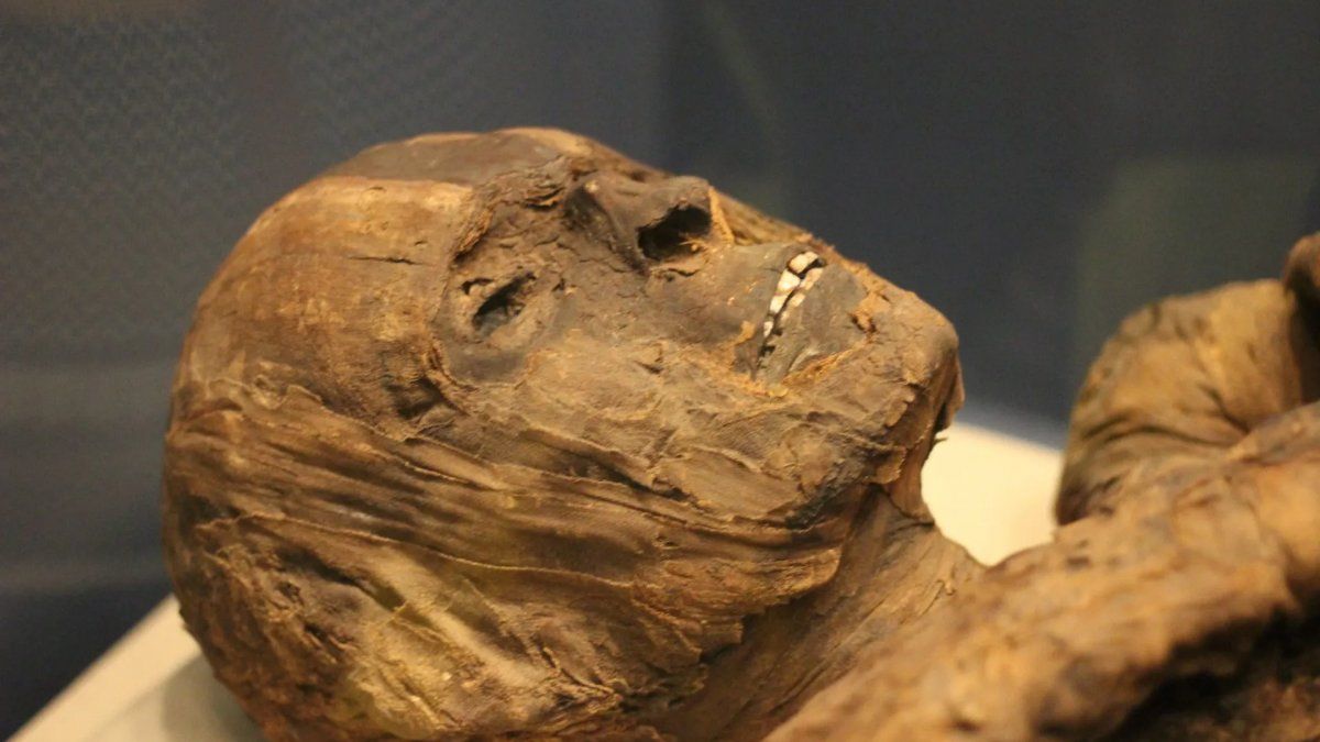 Miracle or natural phenomenon?  The mysterious mummies of Saint Bernard