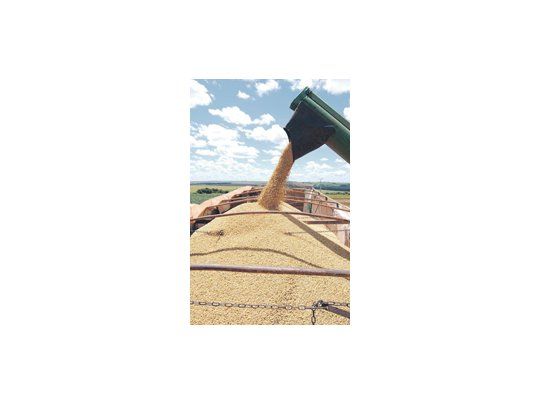 La inminente cosecha de soja de Brasil puede sorprender a los mercados con una producción mayor que la esperada, a pesar de ser un año marcado por La Niña, que suele generar un clima más seco en el cinturón granario de ese país.