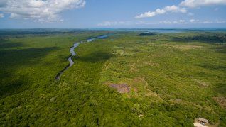Alertan que casi la mitad del Amazonas podría desaparecer en 2050