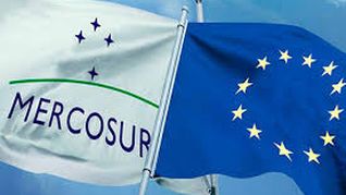 Comienza a regir el acuerdo Mercosur-UE con rebaja de aranceles en productos clave.