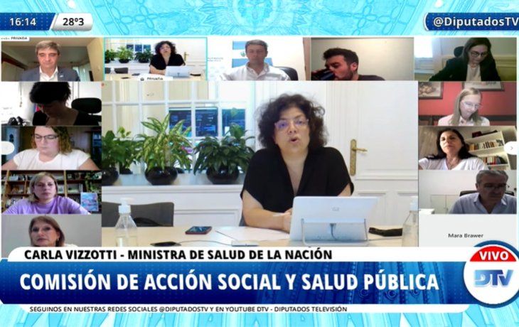 Carla Vizzotti se presenta ente la Comisión de Salud de la Cámara de Diputados.&nbsp;