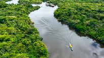 La reelección de Luiz Inácio Lula da Silva renovó las expectativas de las organizaciones ambientalistas de frenar la deforestación y proteger la Amazonía brasileña.