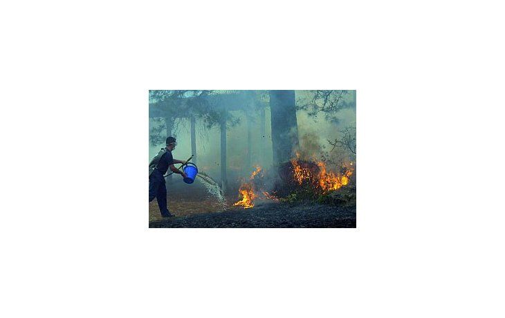 Nuevos incendios forestales en Córdoba
