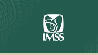 Cuáles son los nuevos requisitos para obtener la Pensión IMSS Ley 73 o Ley 97 a partir del 2026. Cuáles son los nuevos requisitos para obtener la Pensión IMSS Ley 73 o Ley 97 a partir del 2026.