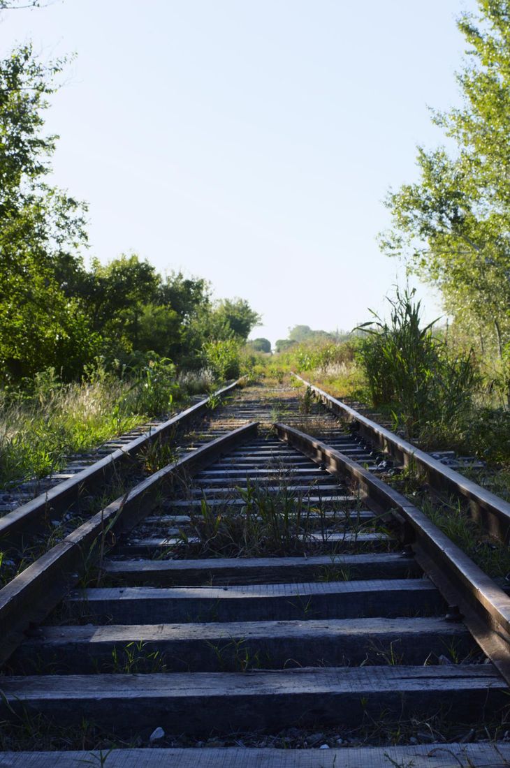 Las obras de desmalezamiento son una parte ardua del trabajo por la restauración de los antiguos ramales. Las obras de desmalezamiento son una parte ardua del trabajo por la restauración de los antiguos ramales.