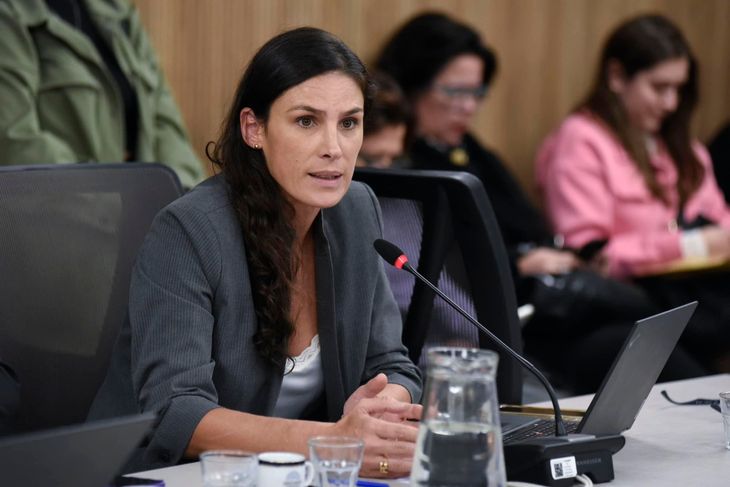 La diputada salteña Pamela Calleti, titular del bloque Innovación Federal. La diputada salteña Pamela Calleti, titular del bloque Innovación Federal.