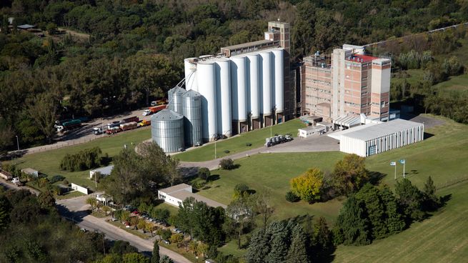 La fábrica de Molino Argentino funcionará con 100% de energías renovables provistas por Genneia.