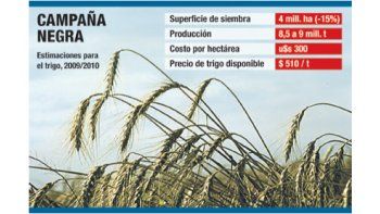 ámbito.com | Malo para el campo: caería hasta un 20% siembra de trigo