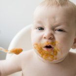 Este nuevo método de alimentación para bebés se está poniendo de moda en todo el mundo. Este nuevo método de alimentación para bebés se está poniendo de moda en todo el mundo.