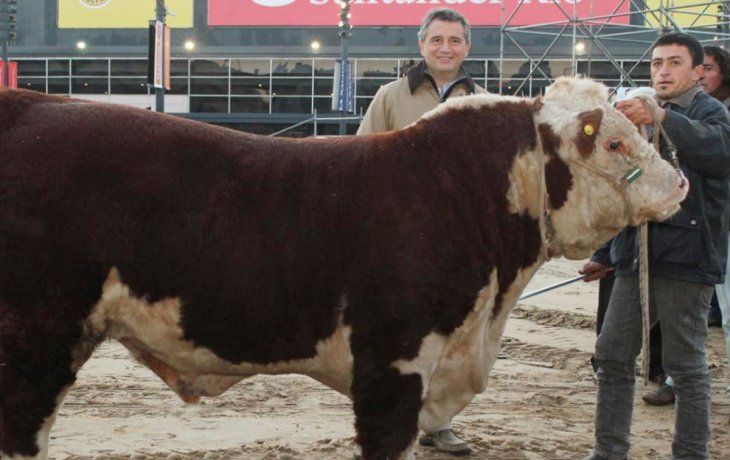 La nueva edición de la tradicional muestra del campo y la industria comenzará el miércoles 24 y se extenderá hasta el lunes 4 de agosto, en el horario de 9 a 20.