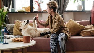 Además de los beneficios para la salud emocional, adoptar a un perro adulto genera un impacto positivo en la comunidad. Además de los beneficios para la salud emocional, adoptar a un perro adulto genera un impacto positivo en la comunidad.