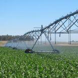 El sector agropecuario local no ocultó su malestar por la postergación de la firma del acuerdo Mercosur-UE y Rafael Ferber habló de pérdida de tiempo. El sector agropecuario local no ocultó su malestar por la postergación de la firma del acuerdo Mercosur-UE y Rafael Ferber habló de pérdida de tiempo.