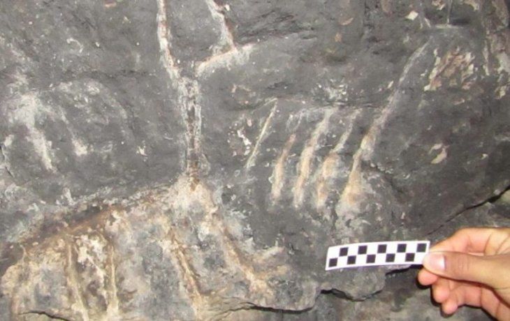 Neuquén: hallan dos cuevas naturales con presencia de arte rupestre de 500 años de antigüedad.