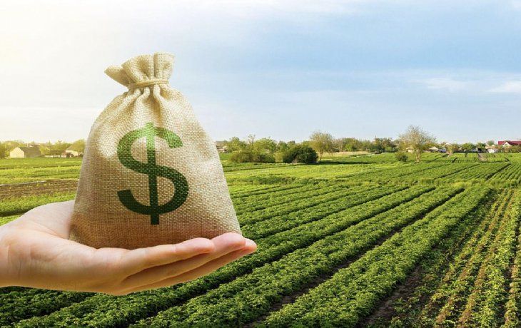 productores que no ingresaron al dolar soja recibiran compensaciones productores que no ingresaron al dolar soja recibiran compensaciones